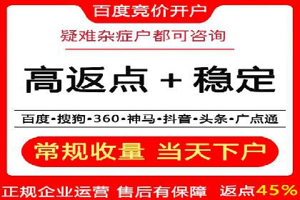 SEM运营公司案例研究：优化广告投放策略